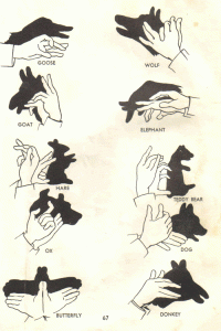 shadow-puppet-guide