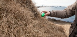 EldingEaster-Egg-Hunt.Imange-by-Roman-Gerasymenko_7-717x350