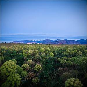 11214378_10153429903156310_8770173887145608624_n