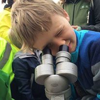 11401244_486952354804256_6196119185947724476_n