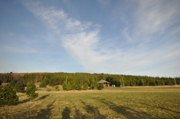 Utipukar_Gudmundarlundur